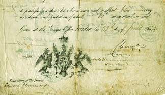 The image is of the lower portion only.